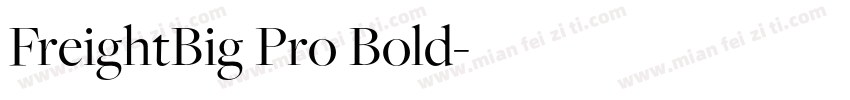 FreightBig Pro Bold字体转换